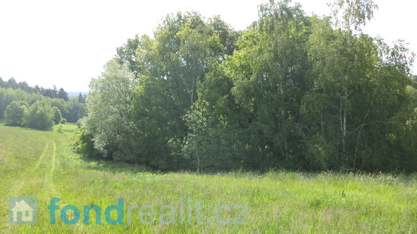 Prodej pozemek - Červená Lhota, Pluhův Žďár, 2 m²