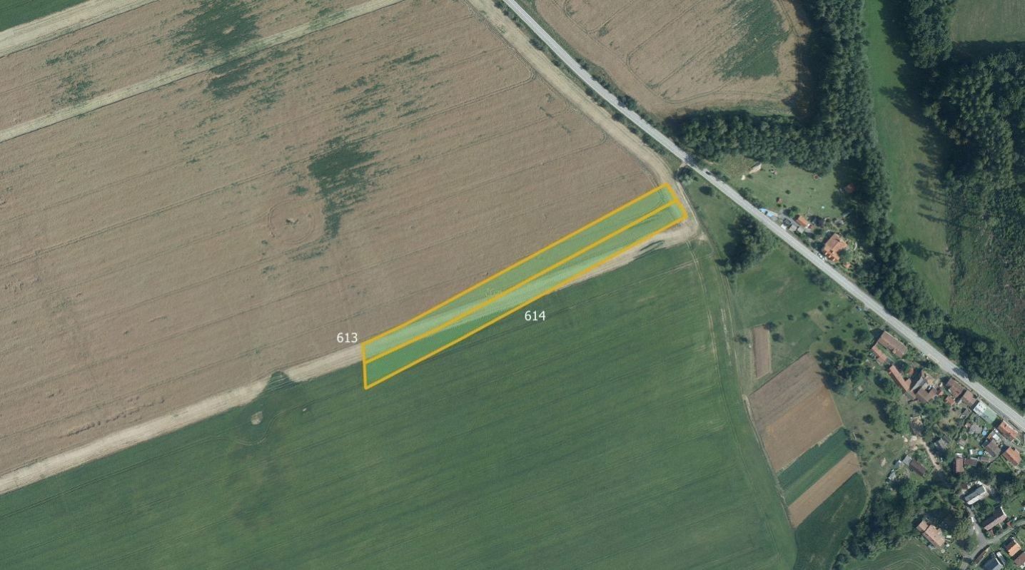 Prodej zemědělský pozemek - Vilémov