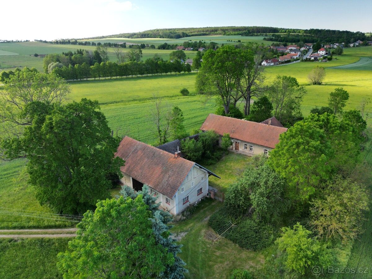 Rodinné domy, Olešnice u Rychnova nad Kněžnou, 517 36