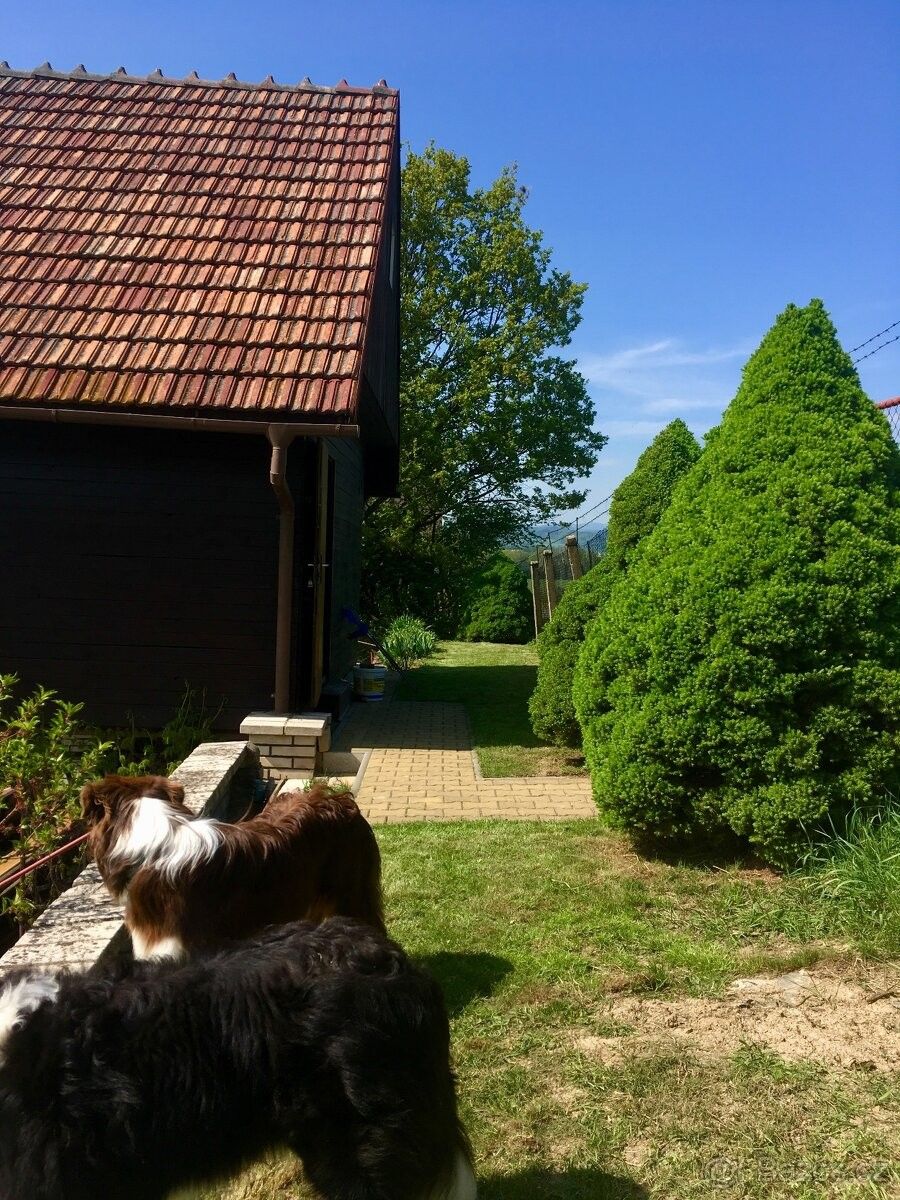 Pronájem zahrada - Šumperk, 787 01