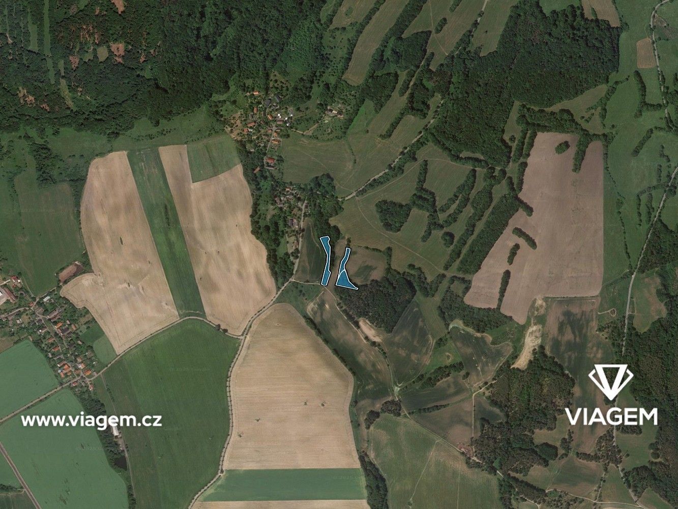 Les · Kravaře, okres Česká Lípa, Liberecký kraj - 3