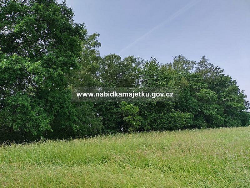 Ostatní, Žandov, okres Česká Lípa, Liberecký kraj - 2
