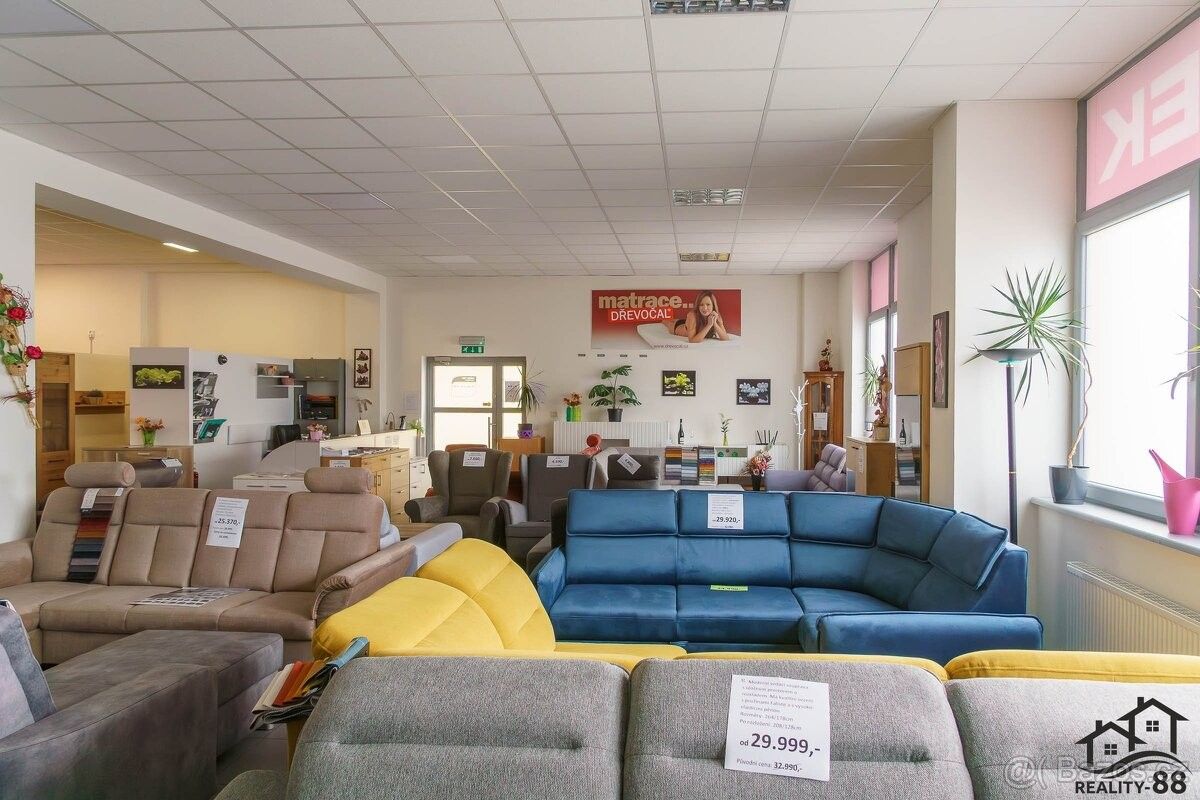 Pronájem obchodní prostory - Karviná, 734 01 - 5