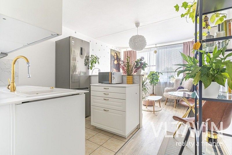 2+kk, Roškotova, Praha 4 - Braník, 50 m² - 1