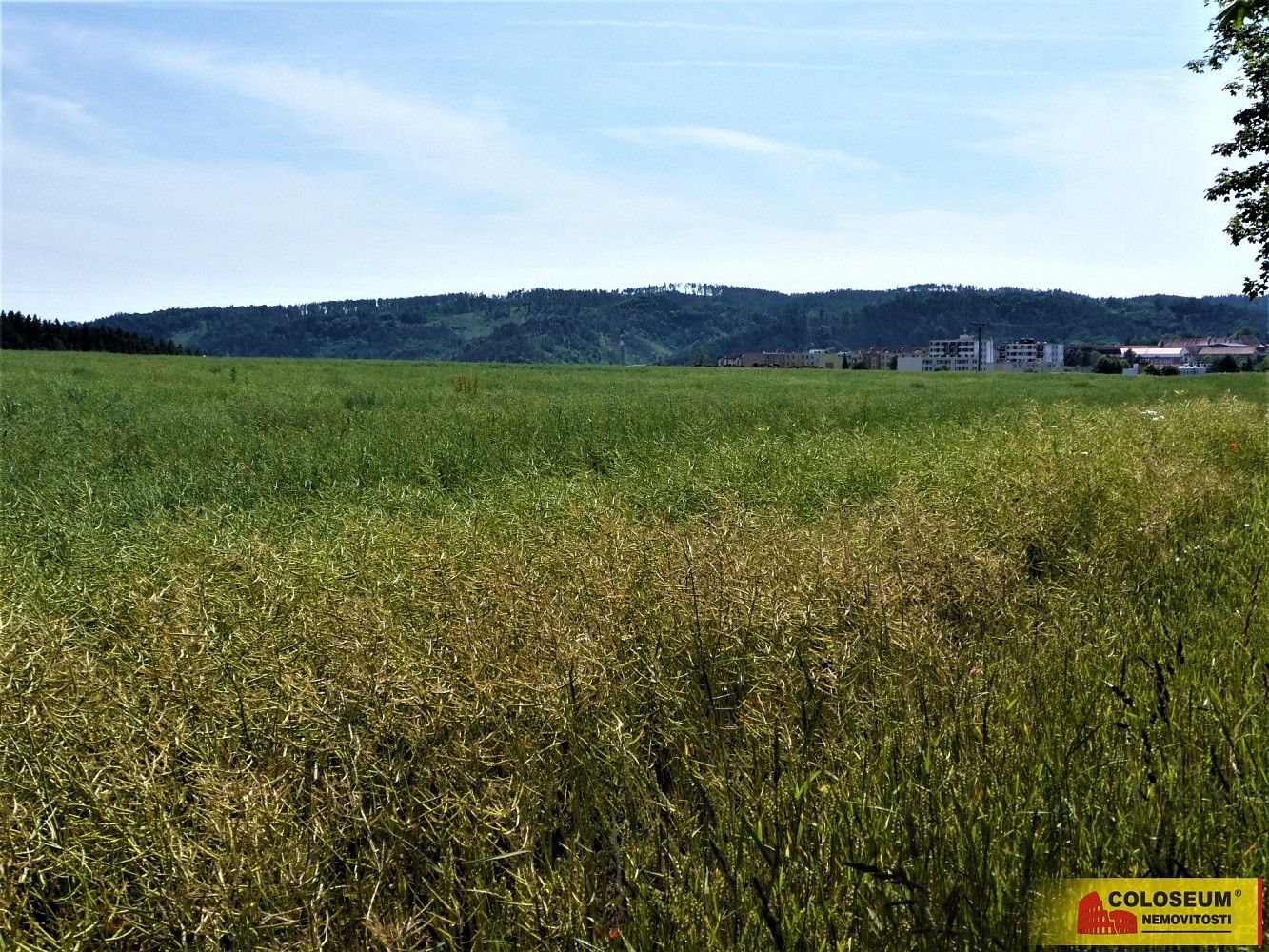 Zemědělské pozemky, Letovice, okres Blansko, Jihomoravský kraj - 2