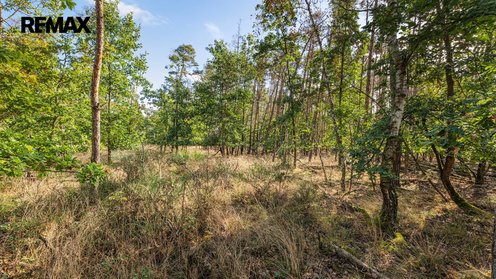 Lesy, Mokrovraty, 38 473 m² - 2
