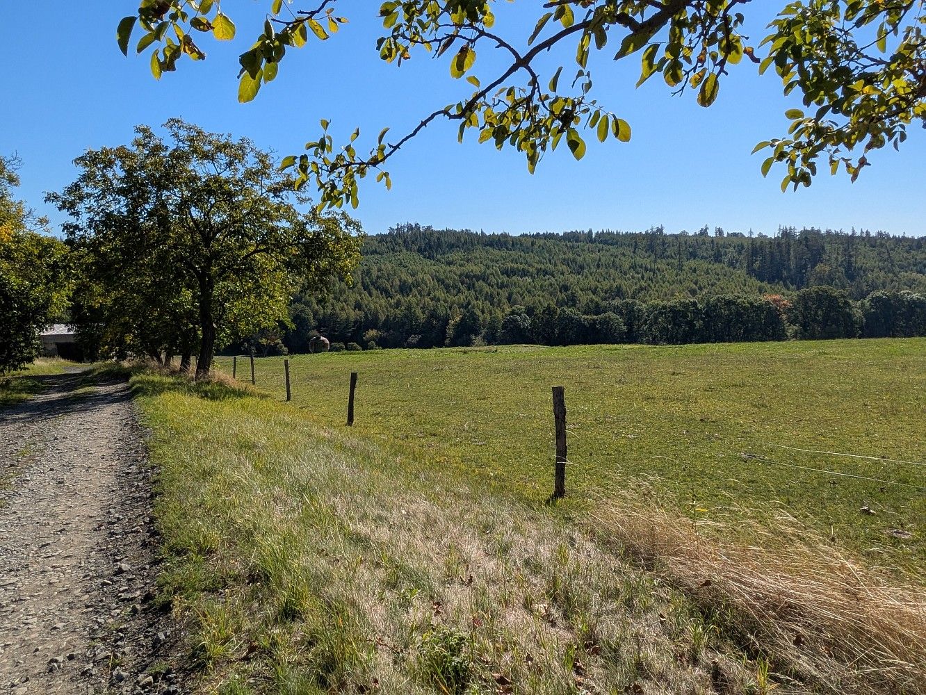 Prodej pozemek pro bydlení - Březová - Jančí, okres Opava - 5