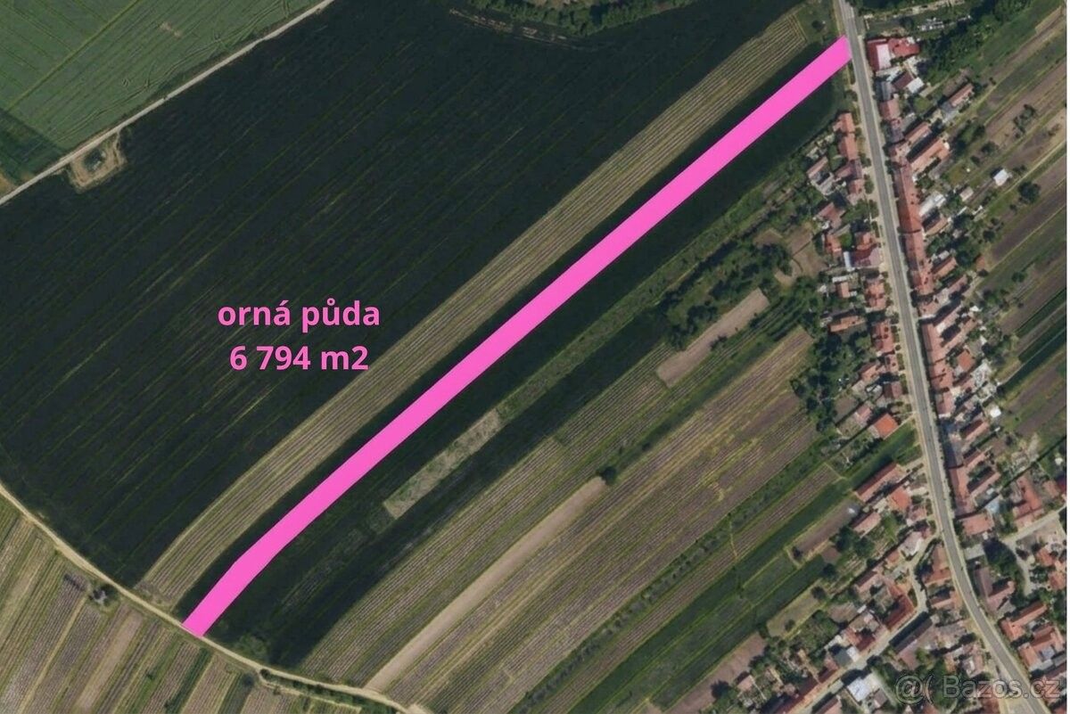 Pozemek pro bydlení · Čejkovice, 696 15 - 4