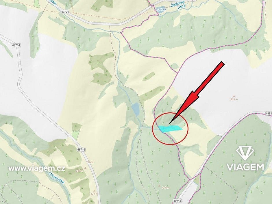 Les · Velký Ořechov, okres Zlín, Zlínský kraj - 3