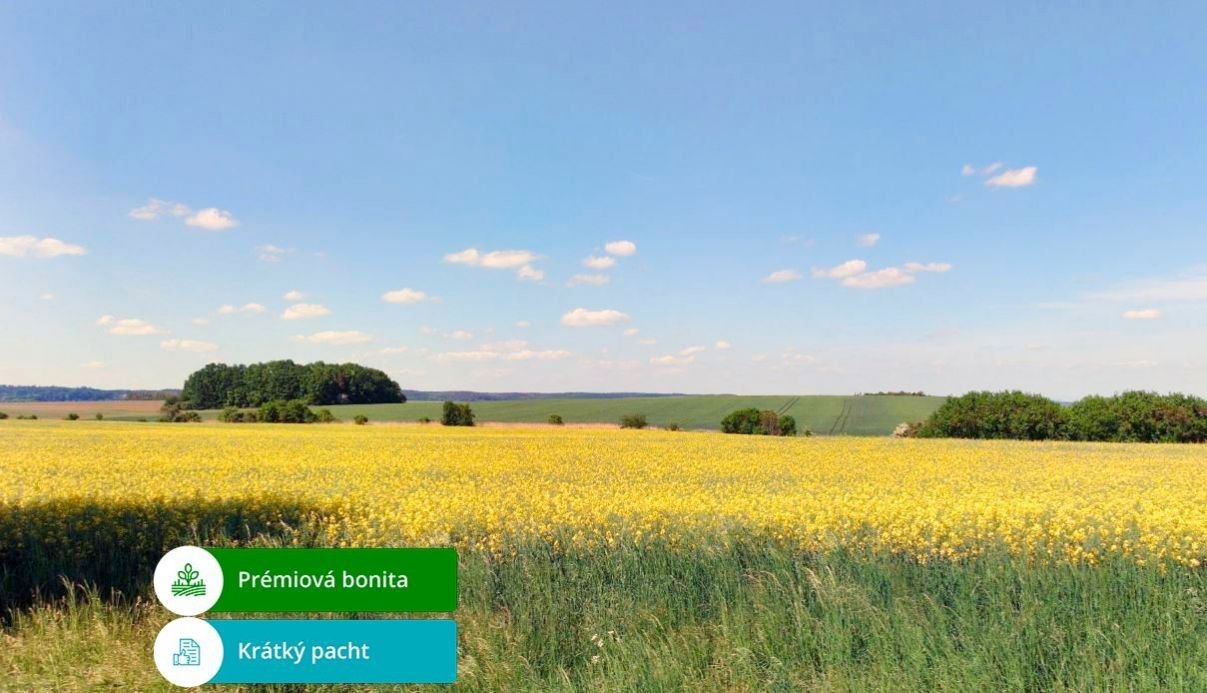 Zemědělské pozemky, Jíkev, 162 886 m²