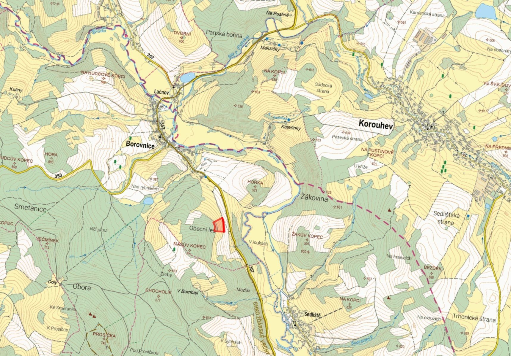 Louky, Borovnice - 2