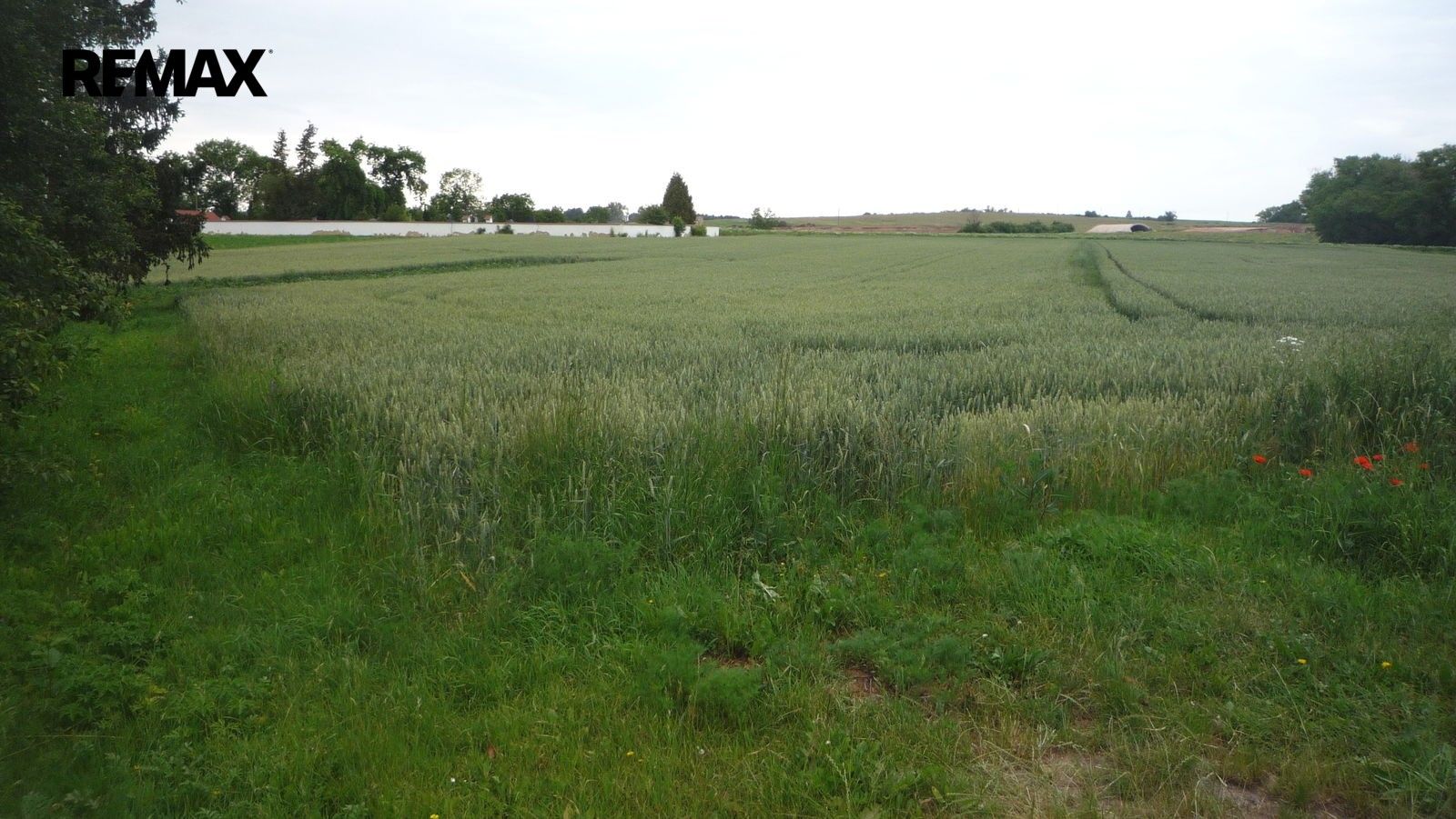 Pozemky pro bydlení, Hořesedly, 985 m² - 1