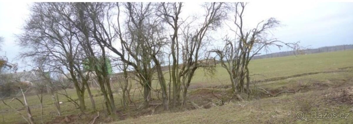 Pozemky pro bydlení, Kostelec nad Černými Lesy, 281 63