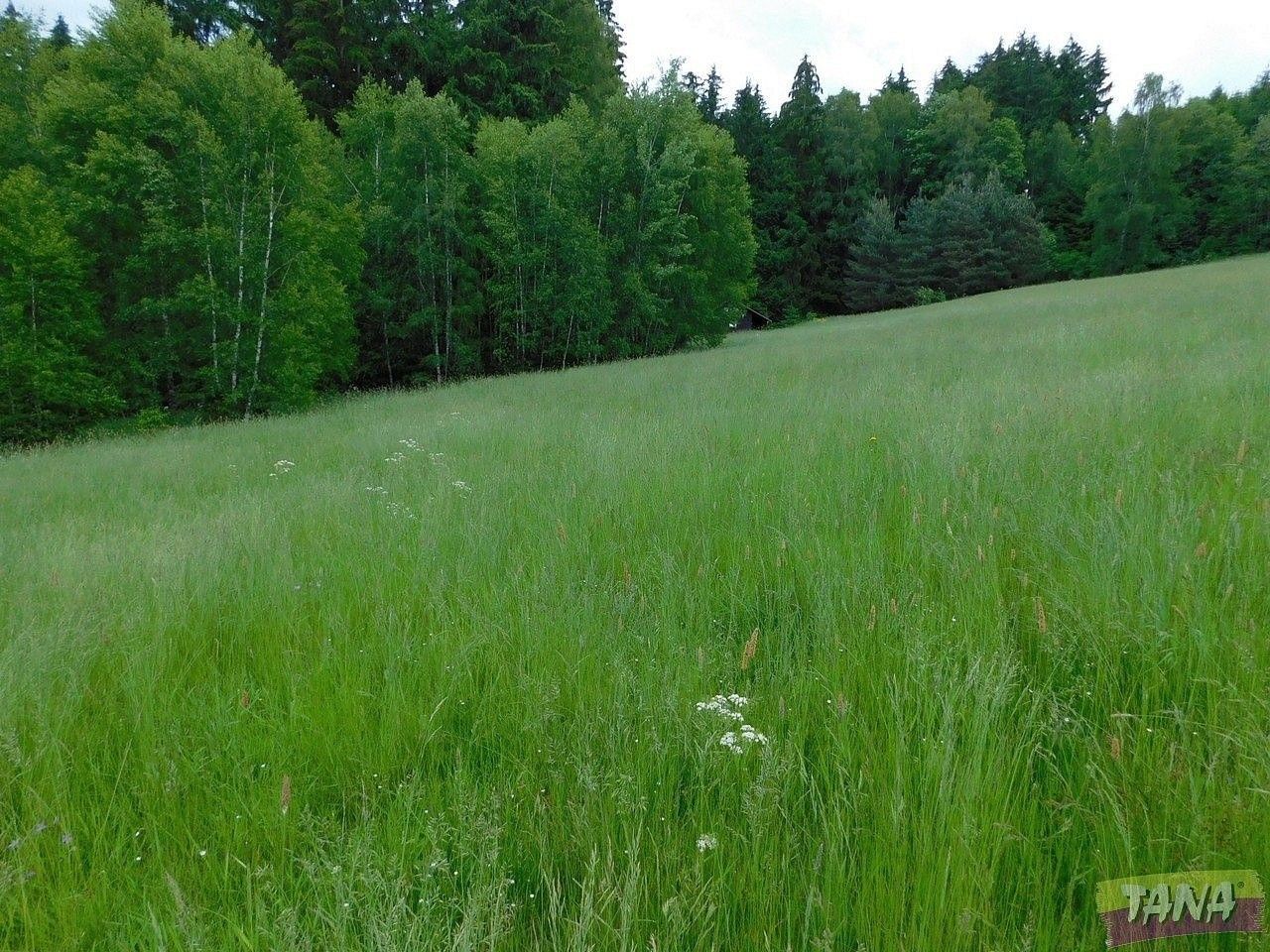 Prodej louka - Semily, Liberecký kraj - 5