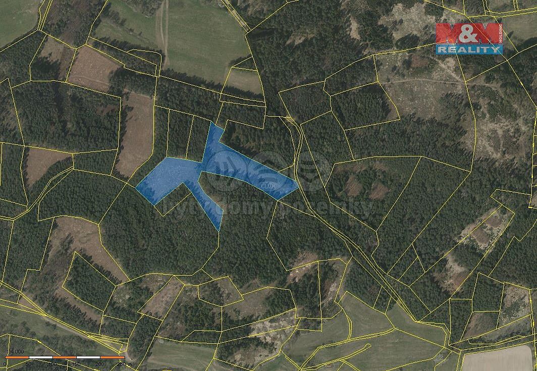 Lesy, Přechovice, okres Strakonice, Jihočeský kraj - 1