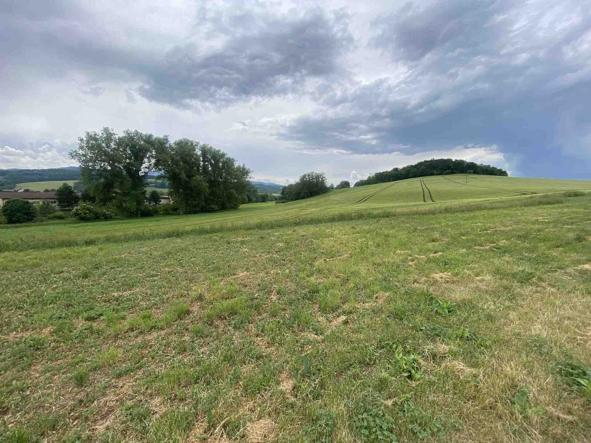 Prodej pozemek - Řehlovice, 1 561 m² - 2