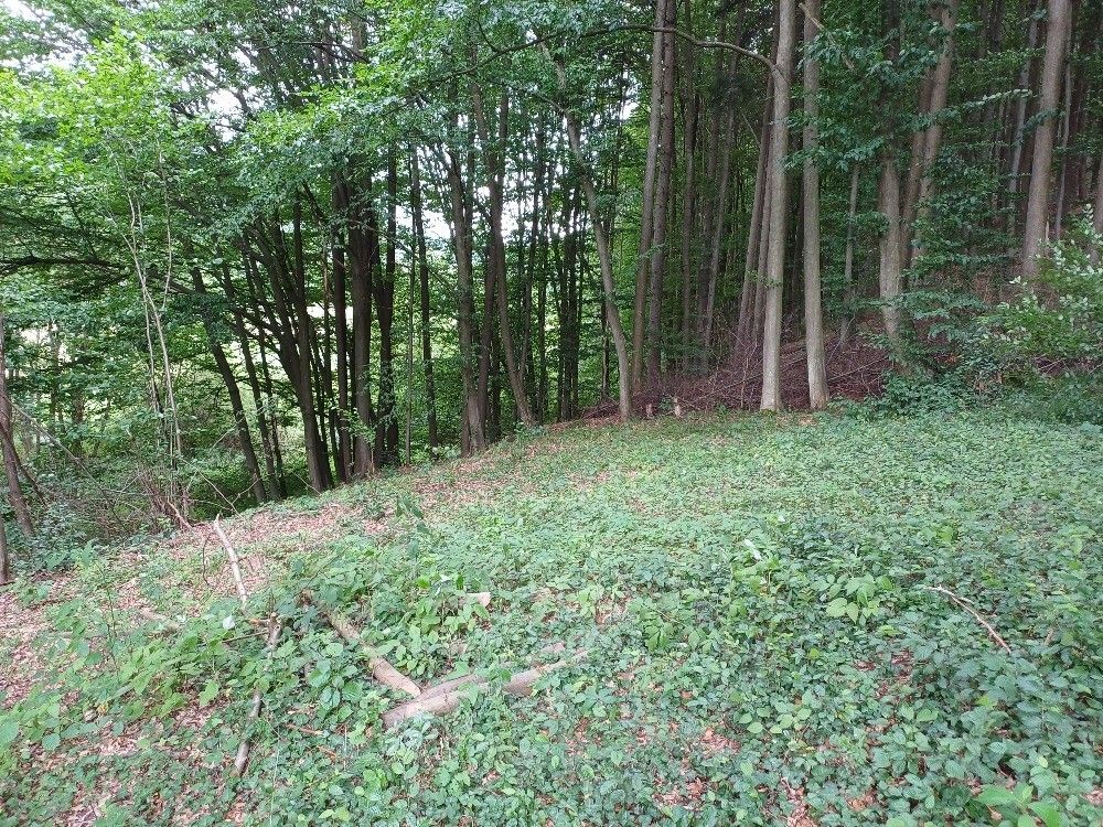 Prodej pozemek pro bydlení - Zábřeh, 789 01 - 5