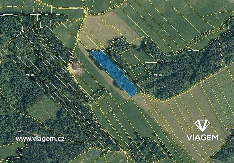 Les · Dolany, okres Klatovy, Plzeňský kraj - 3