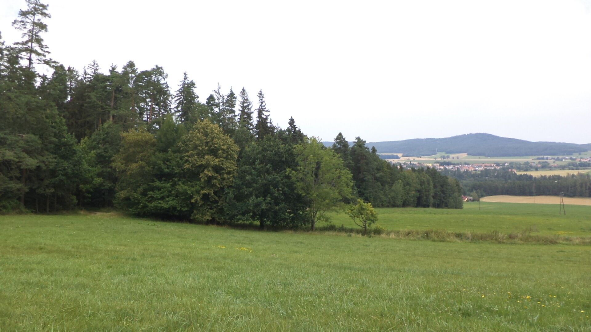 Prodej pozemek - Holubov, 5 614 m² - 5