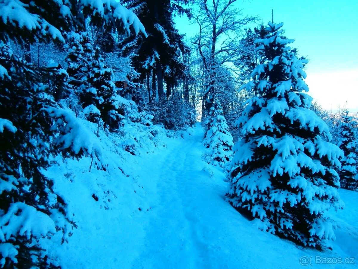 Prodej chata - Smilovice u Třince, 739 55