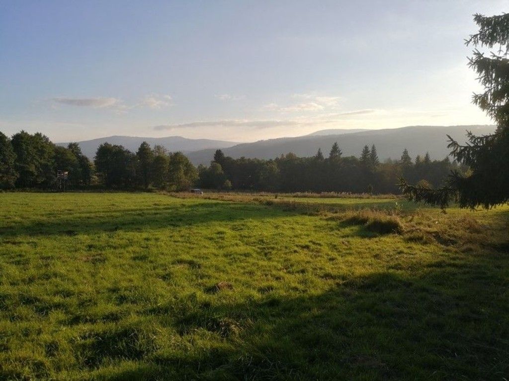 Ostatní, Želnava, 14 m²