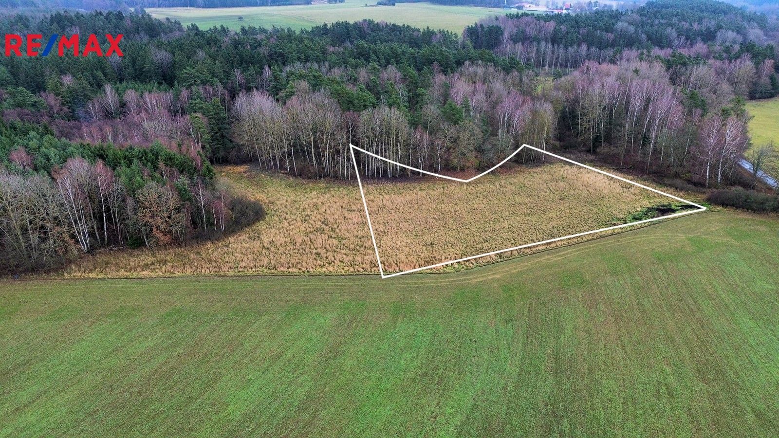 Prodej louka - Stráž, 5 m²