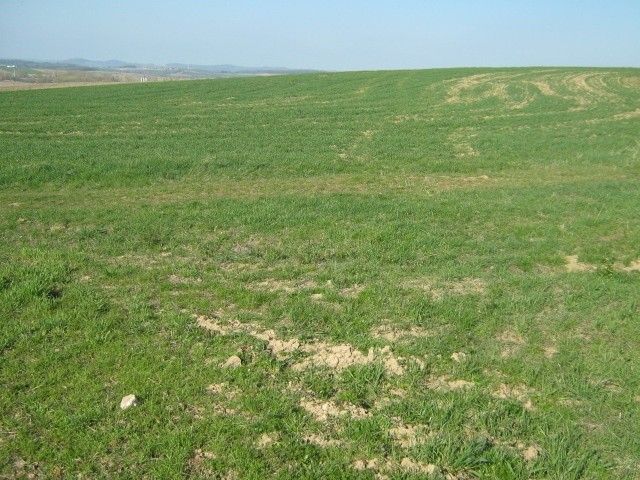 Pozemky pro bydlení, Bystřice, 257 51