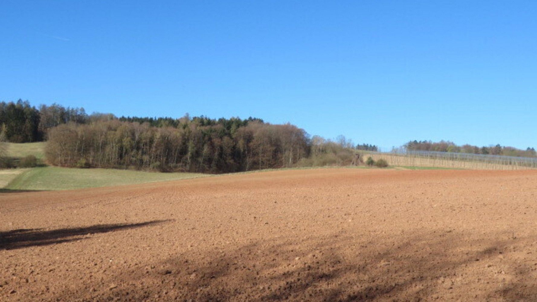 Zemědělský pozemek · Rakovník, Středočeský kraj - 3