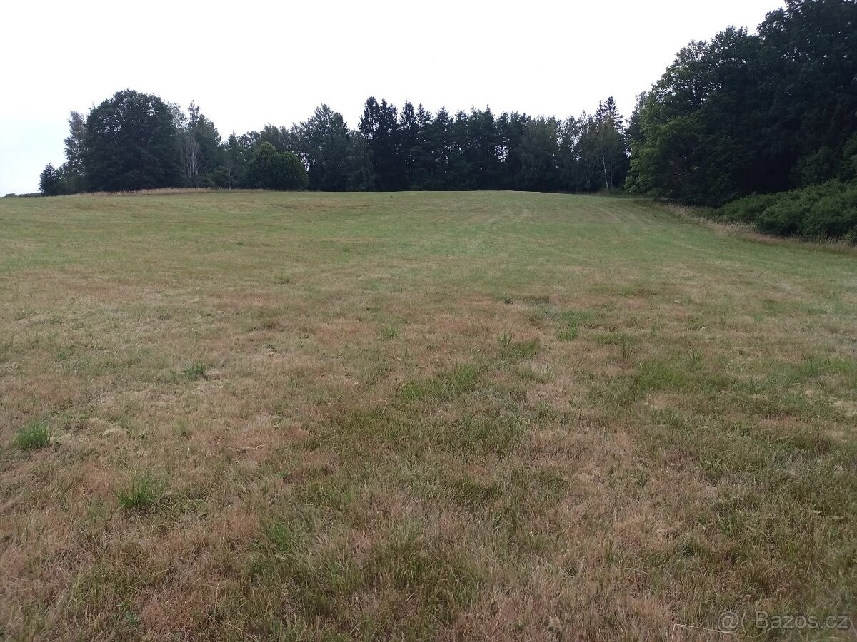 Pozemek pro bydlení · Planá u Mariánských Lázní, 348 15 - 3