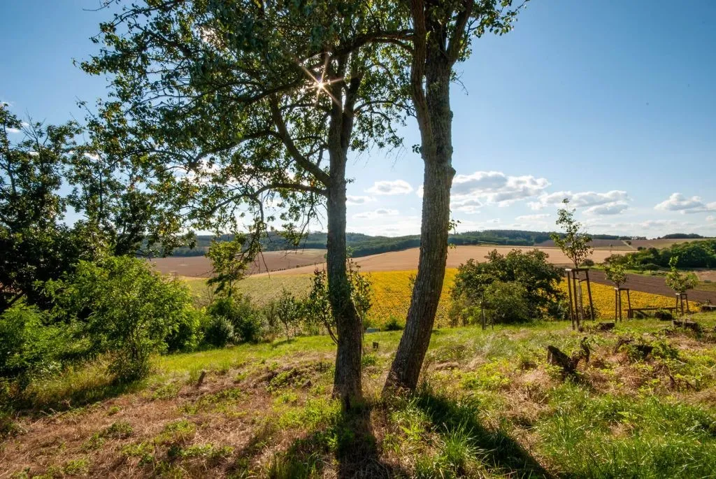 Ostatní