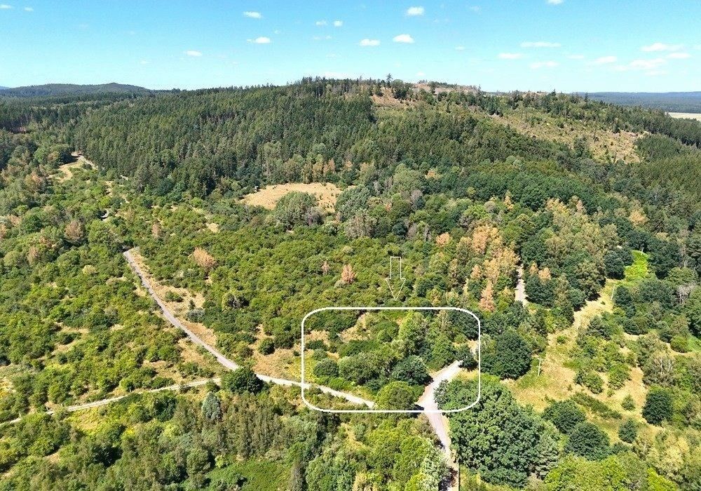 Pozemek pro bydlení, 3 054 m²
