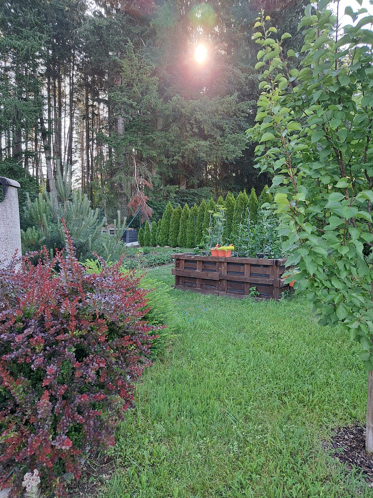 Pozemek pro bydlení · Krásná Hora nad Vltavou, okres Příbram - 3