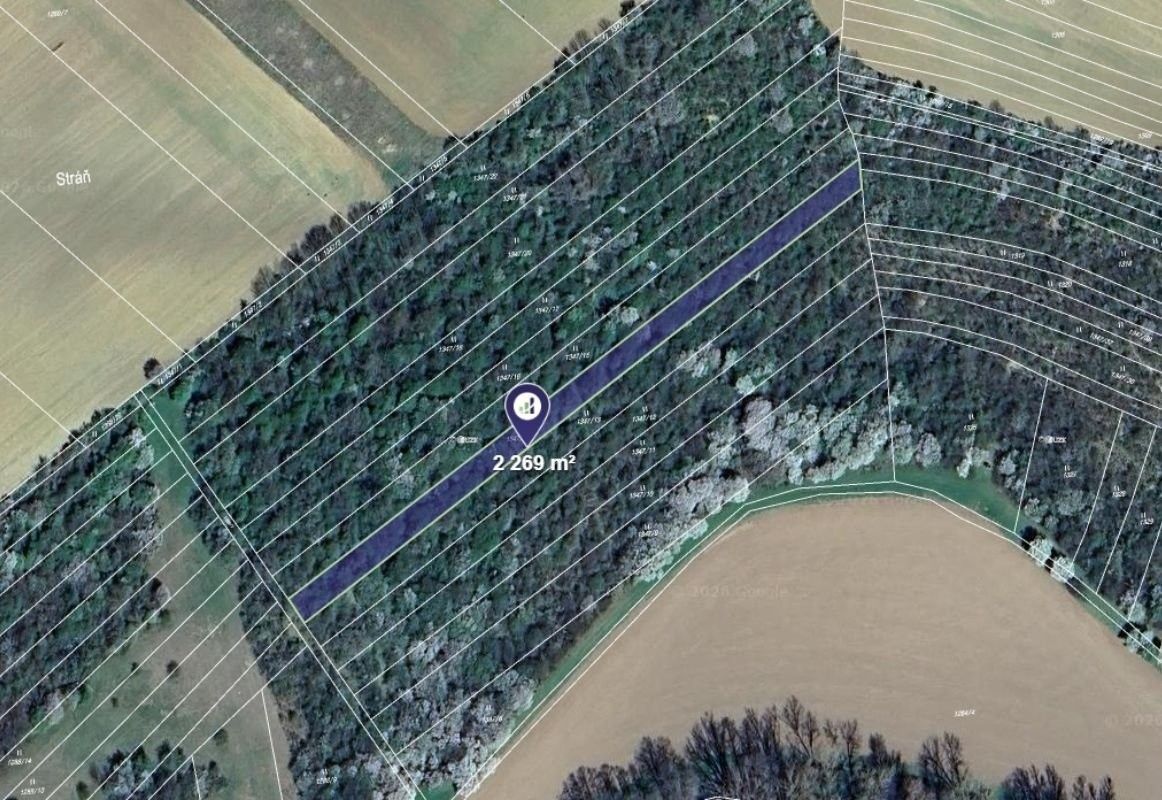 Louky, Cetechovice - 1