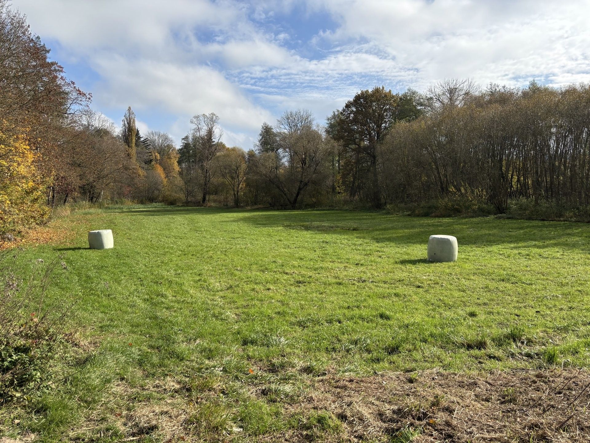Prodej zemědělský pozemek - Veselí, Janovice nad Úhlavou