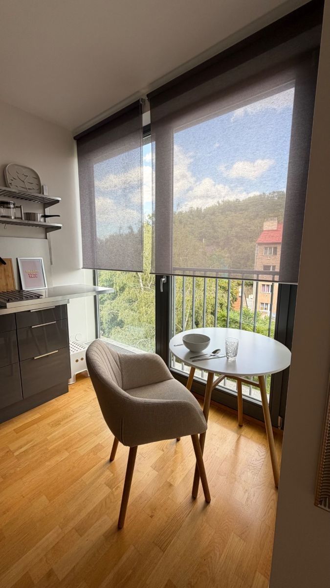 1+kk, U Michelského mlýna, Praha - Michle, 30 m² - 1