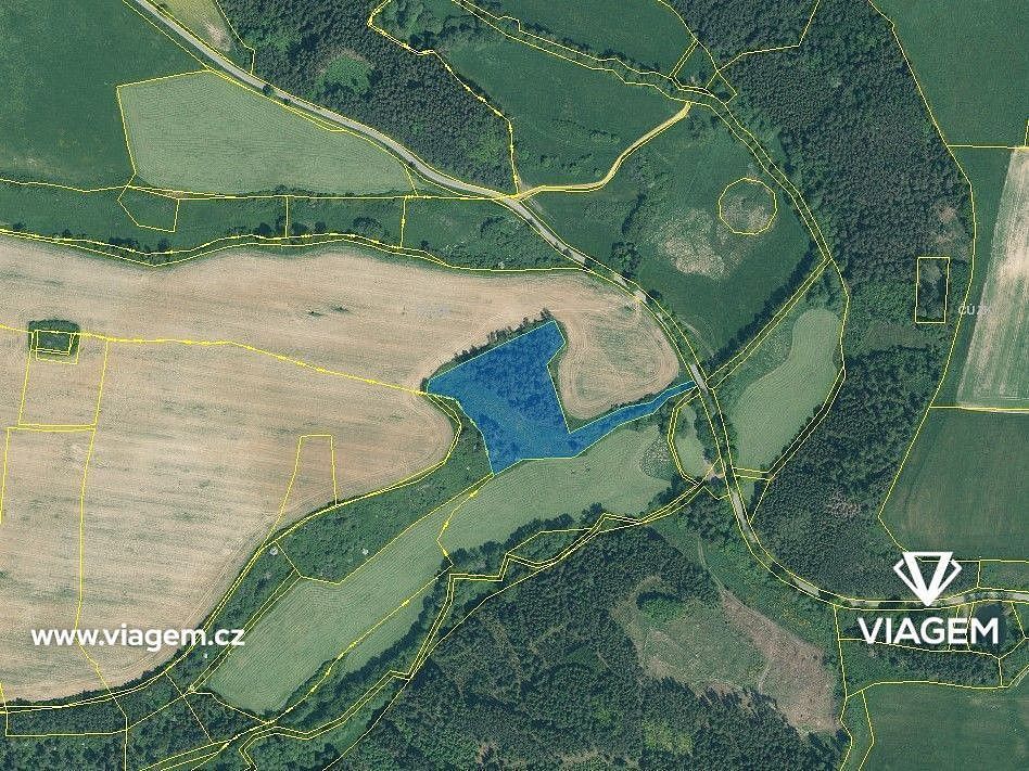 Les · Svojšín, okres Tachov, Plzeňský kraj - 3