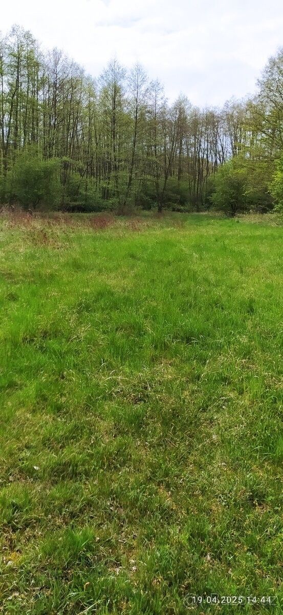 Pronájem pozemek pro bydlení - Hradištko, 289 12