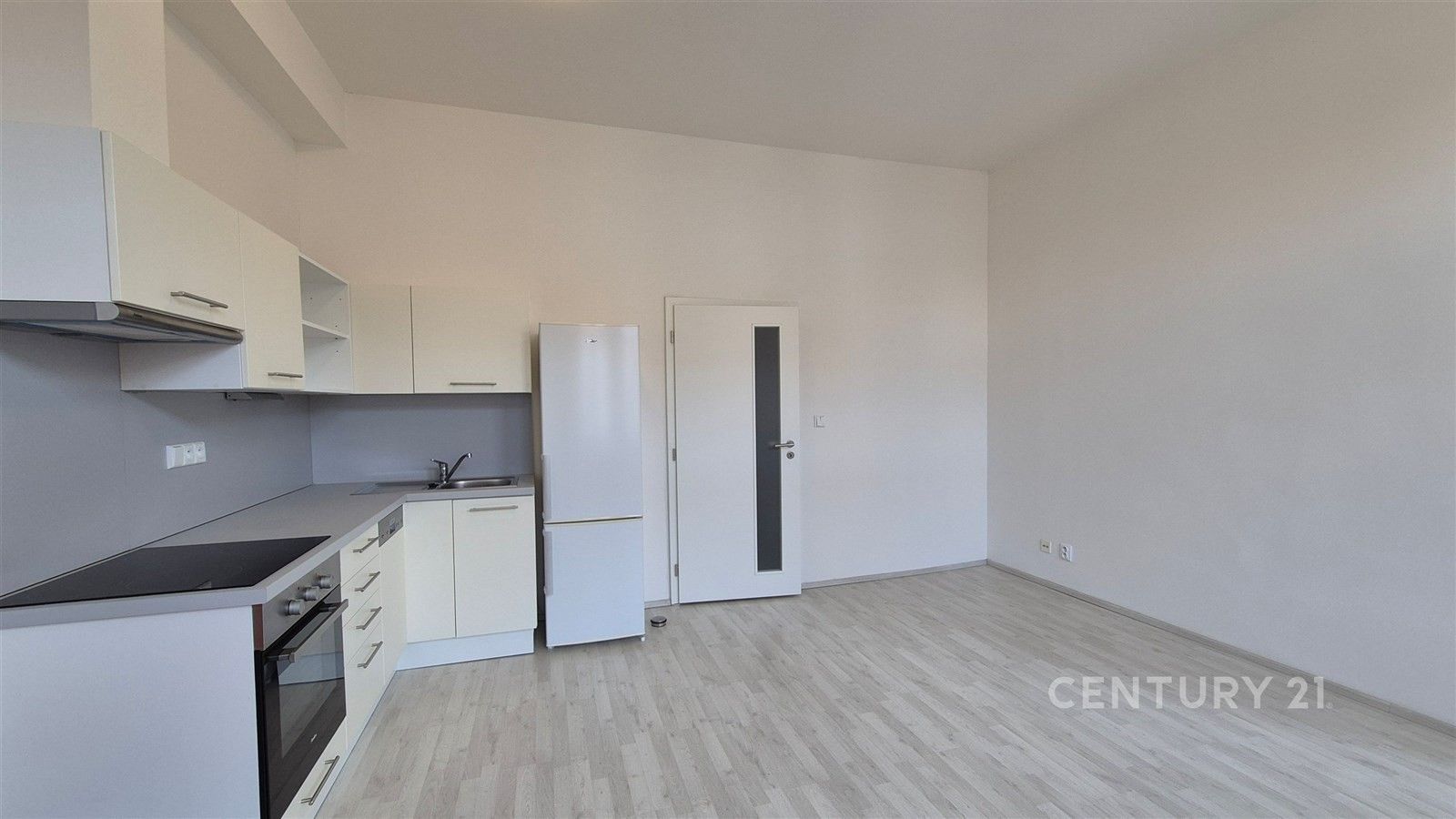 Pronájem byt 1+1 - Karlova, Plzeň, 57 m²