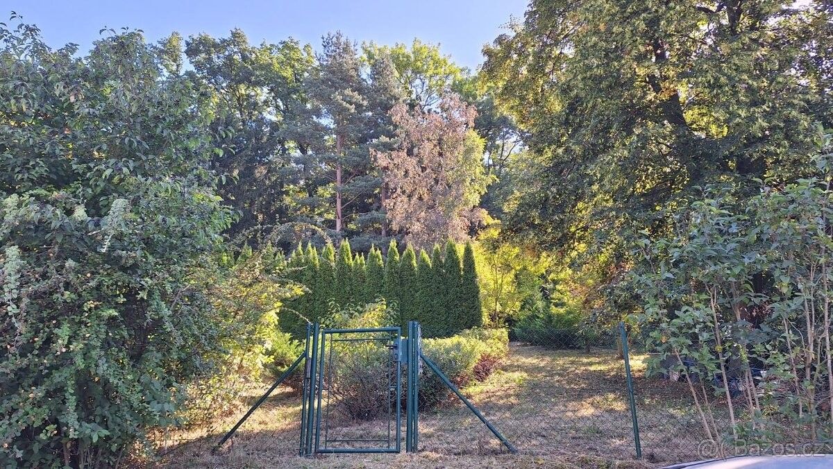 Prodej chata - Běstvina, 538 45