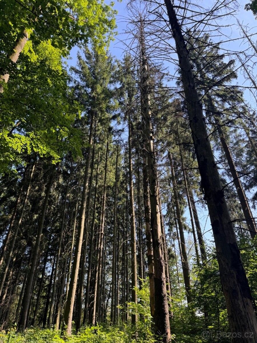 Prodej pozemek pro bydlení - Rychnov nad Kněžnou, 516 01