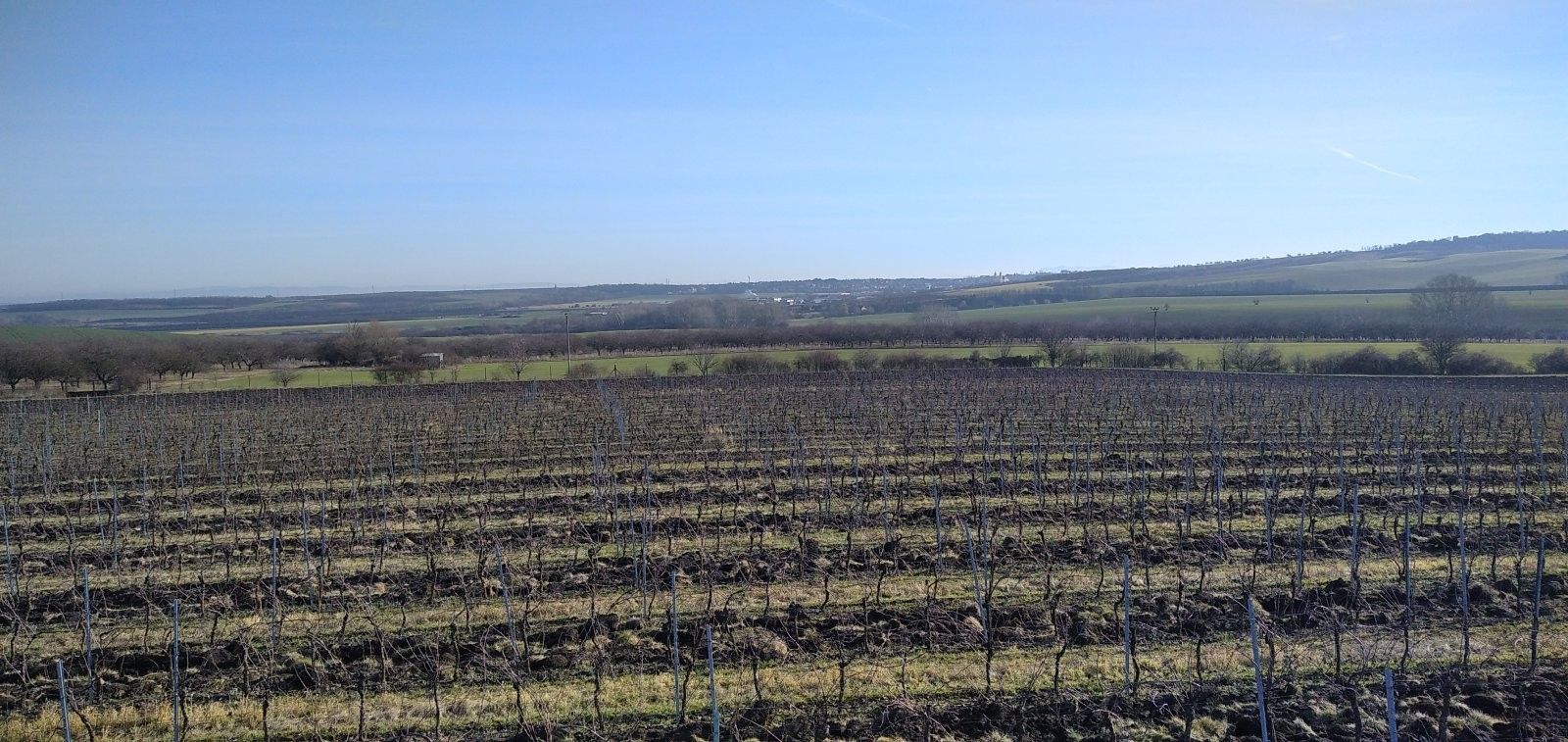 Pozemek · 20 000 m² · Valtice Úvaly - 4