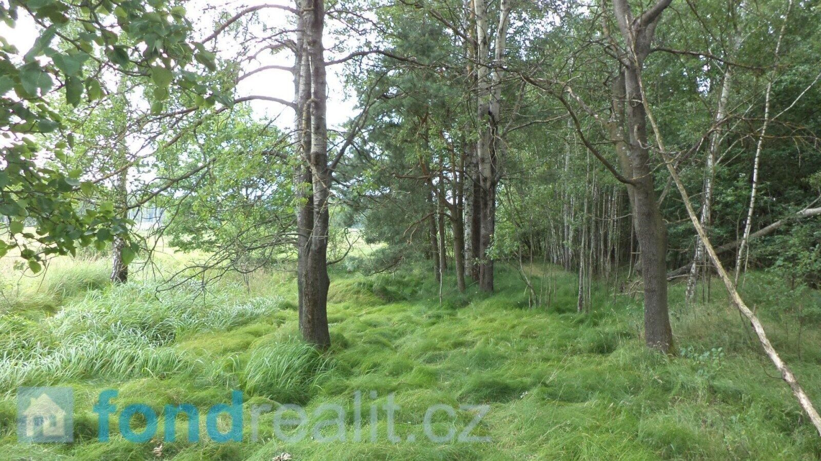 Prodej pozemek - Hranice, 3 m²