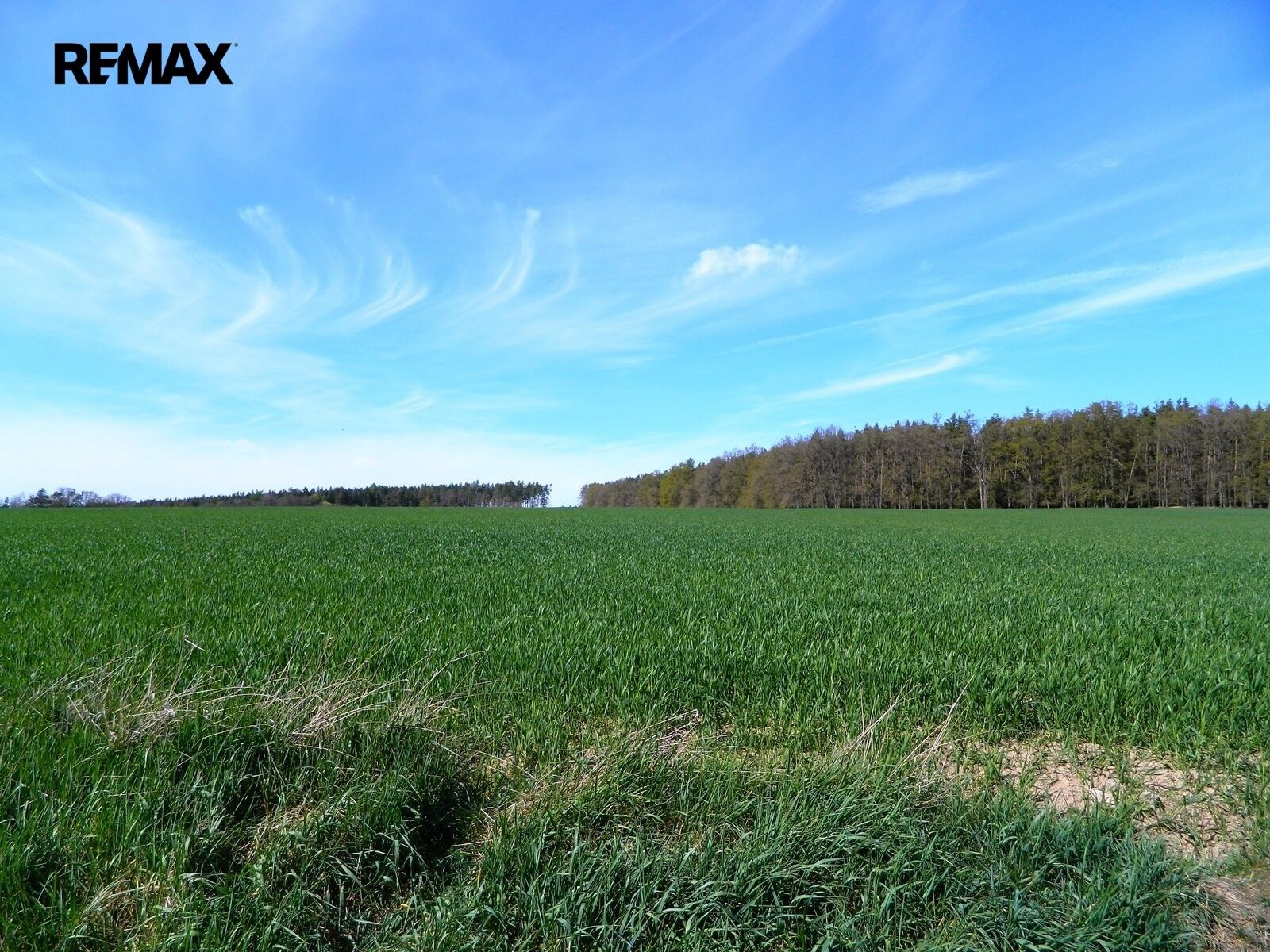 Prodej pozemek pro bydlení - Přehořov, 984 m² - 5