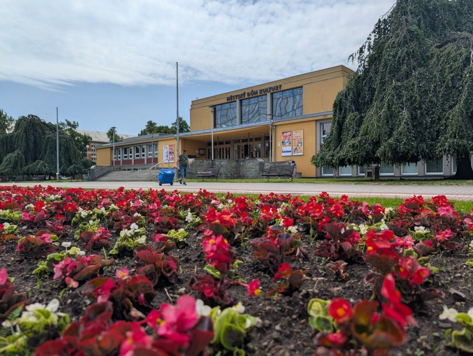 Kanceláře, Čapkova, Karviná - Karviná-město, Moravskoslezský kraj, 35 m²