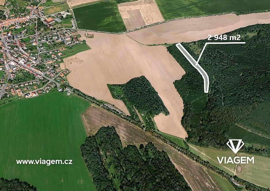 Lesy, Koloveč, okres Domažlice, Plzeňský kraj - 1