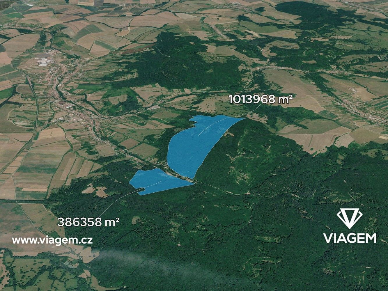 Les · Javorník, okres Hodonín, Jihomoravský kraj - 1