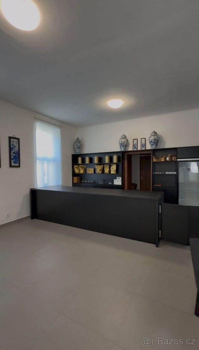 Restaurace, Jílové u Prahy, 254 01