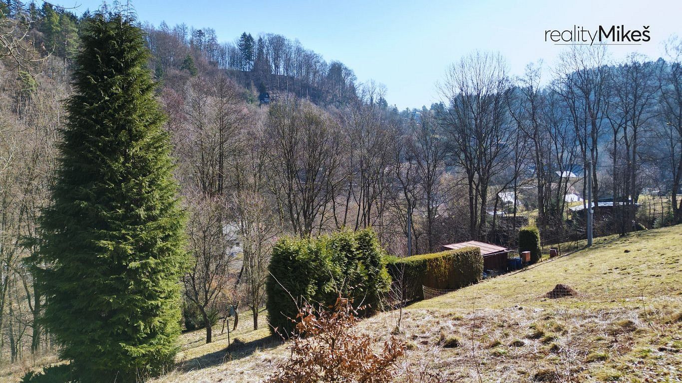 Prodej louka - Železný Brod, okres Jablonec nad Nisou, Liberecký kraj - 5