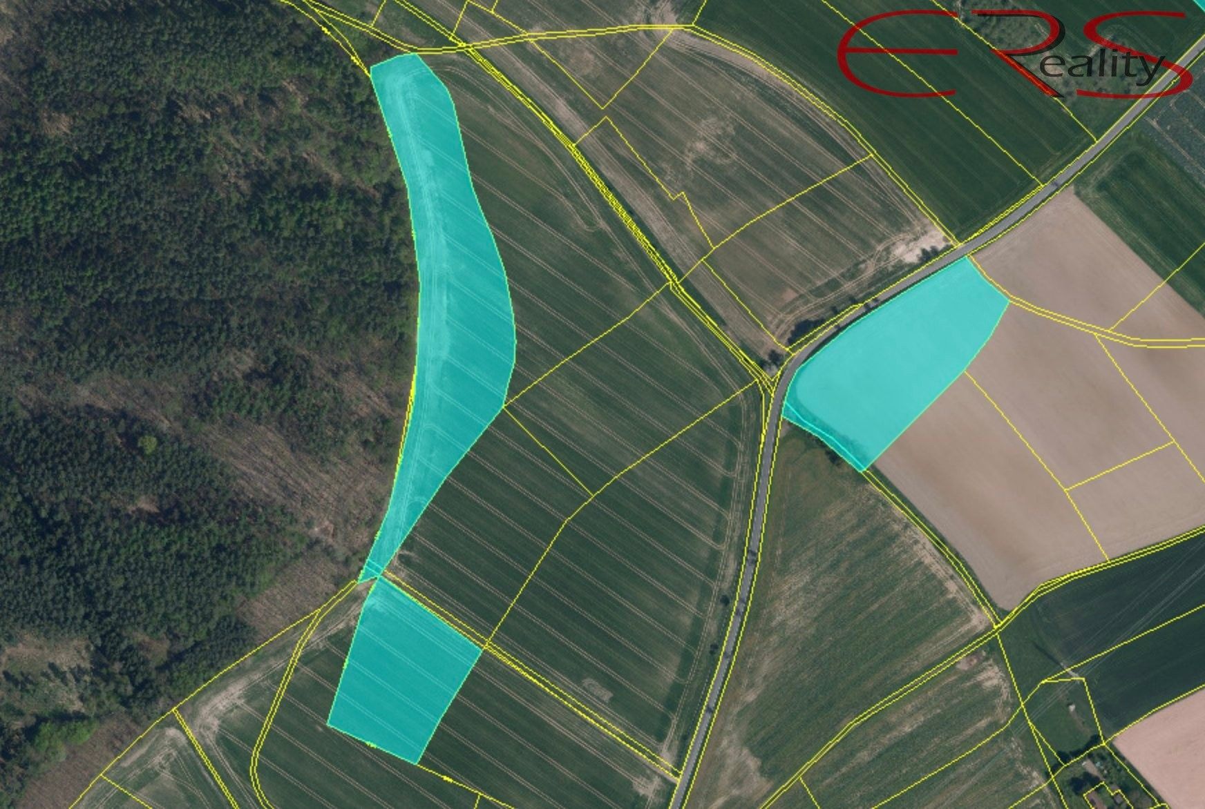 Prodej zemědělský pozemek - Ptýrov