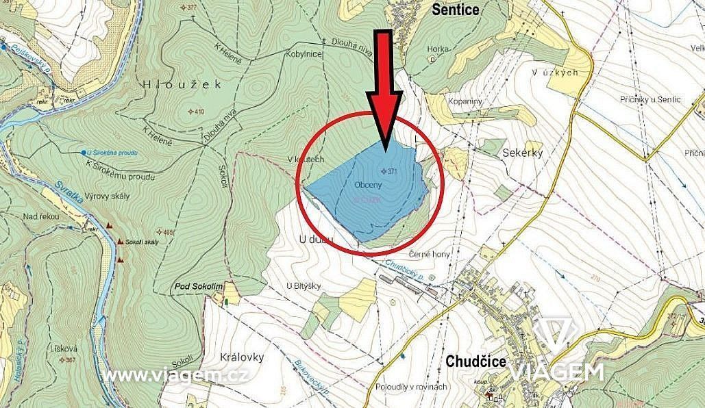 Les · Sentice, okres Brno-venkov, Jihomoravský kraj - 4